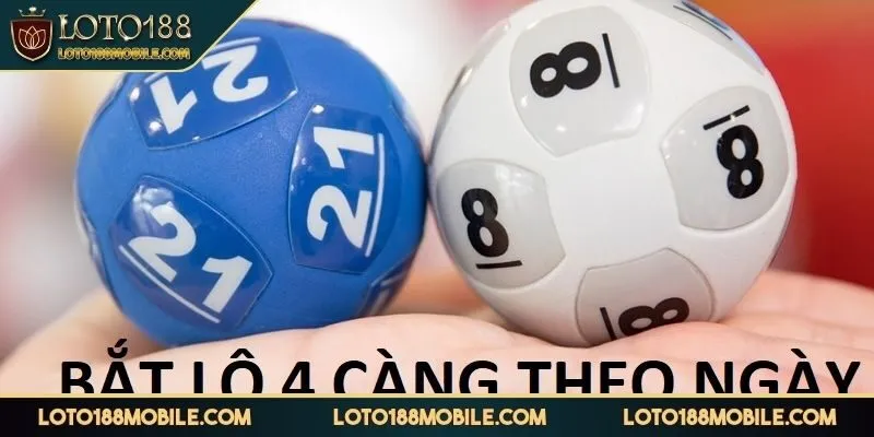 4-cang-an-bao-nhieu-tinh-4-cang