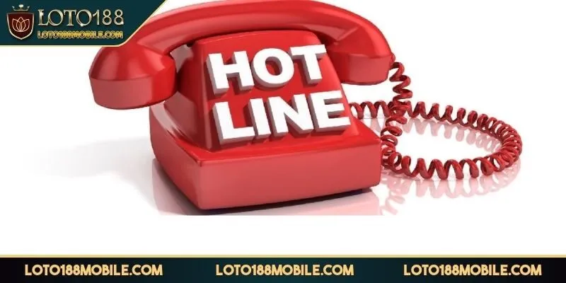 lien-he-hotline