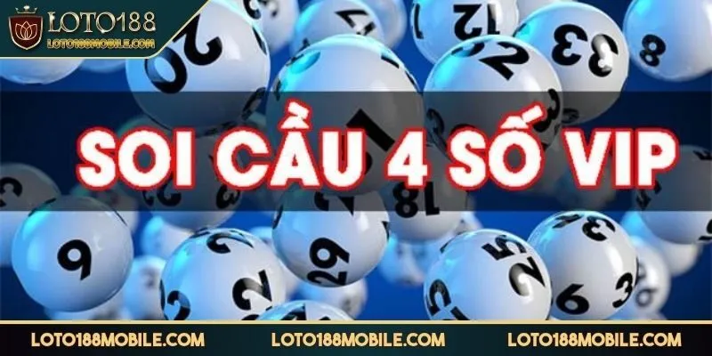 lo-vip-4-so-soi-cau