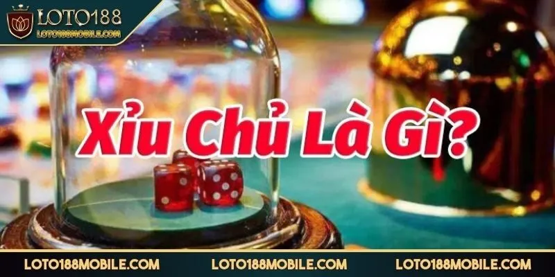 xiu-chu-la-gi-tong-quat